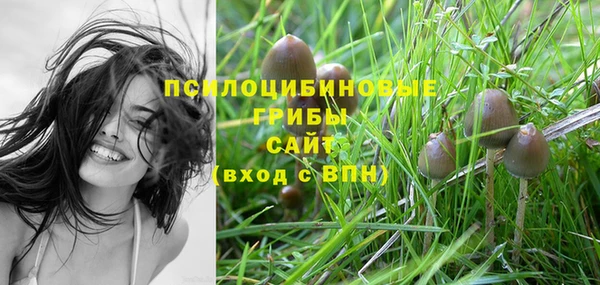 каннабис Пересвет