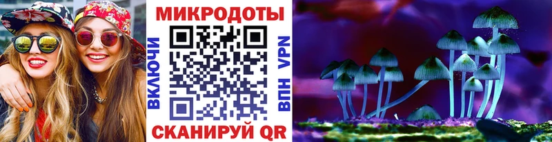 Псилоцибиновые грибы Cubensis  Купить закладки  Севастополь 